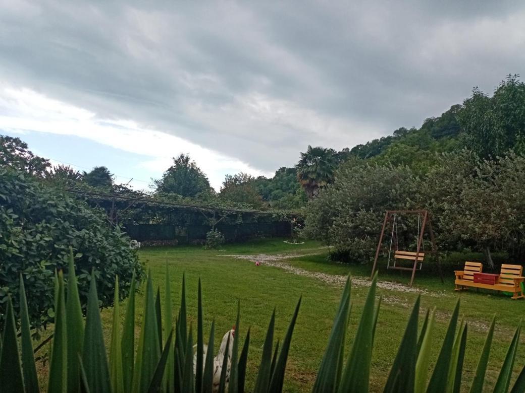 Guesthouse At Oleg'S Zolotoy Bereg グダウタ エクステリア 写真
