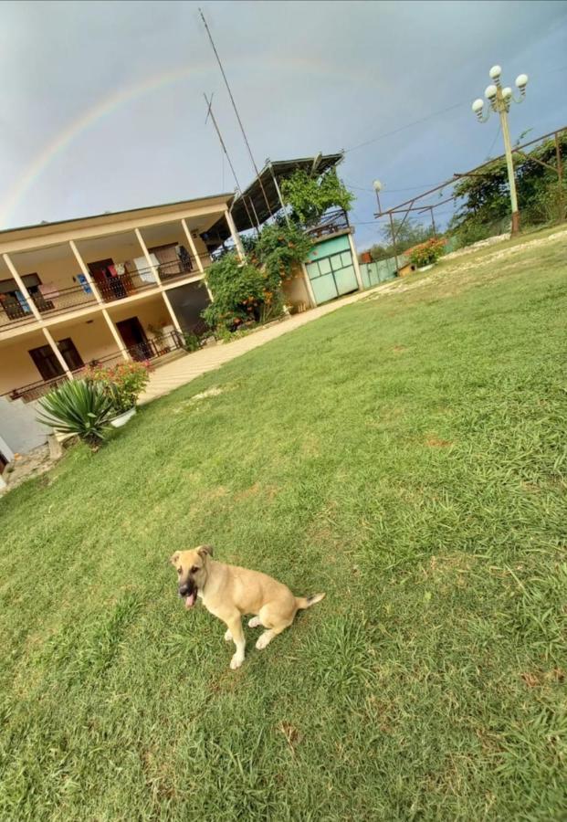 Guesthouse At Oleg'S Zolotoy Bereg グダウタ エクステリア 写真