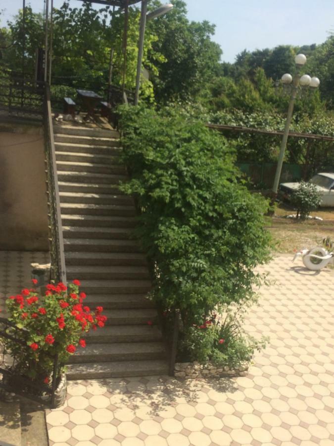 Guesthouse At Oleg'S Zolotoy Bereg グダウタ エクステリア 写真