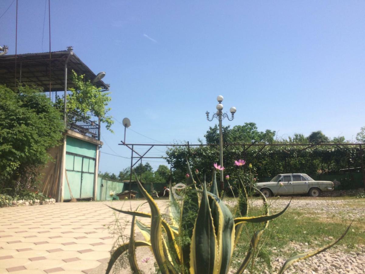 Guesthouse At Oleg'S Zolotoy Bereg グダウタ エクステリア 写真