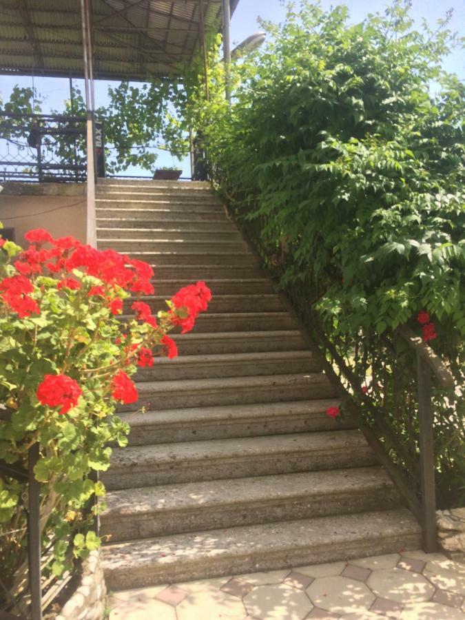 Guesthouse At Oleg'S Zolotoy Bereg グダウタ エクステリア 写真