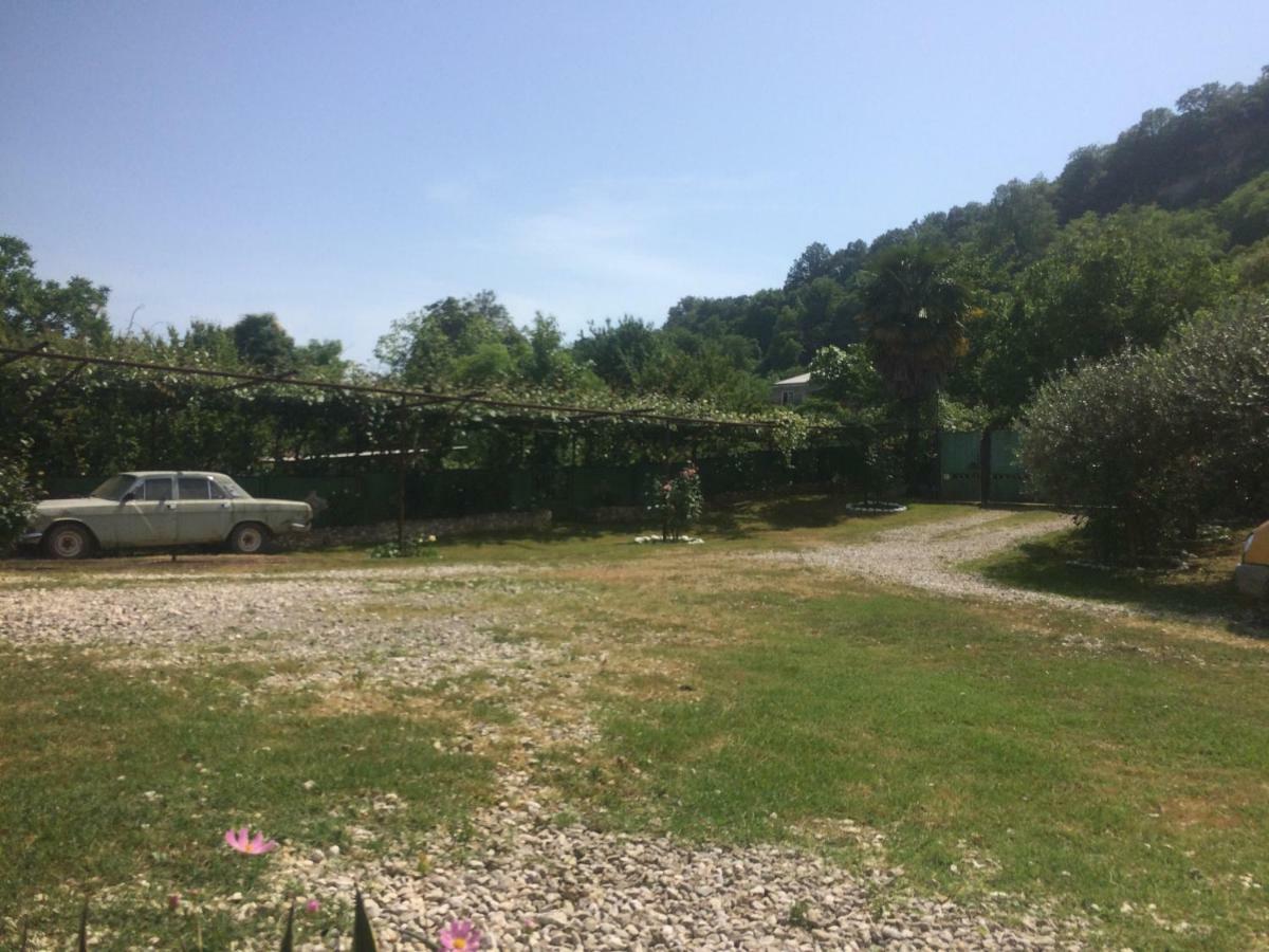 Guesthouse At Oleg'S Zolotoy Bereg グダウタ エクステリア 写真
